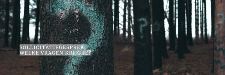 Het sollicitatiegesprek: welke vragen kun je verwachten?