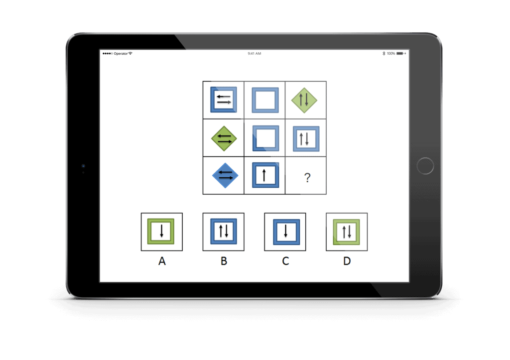 PiCompany matrix oefenen