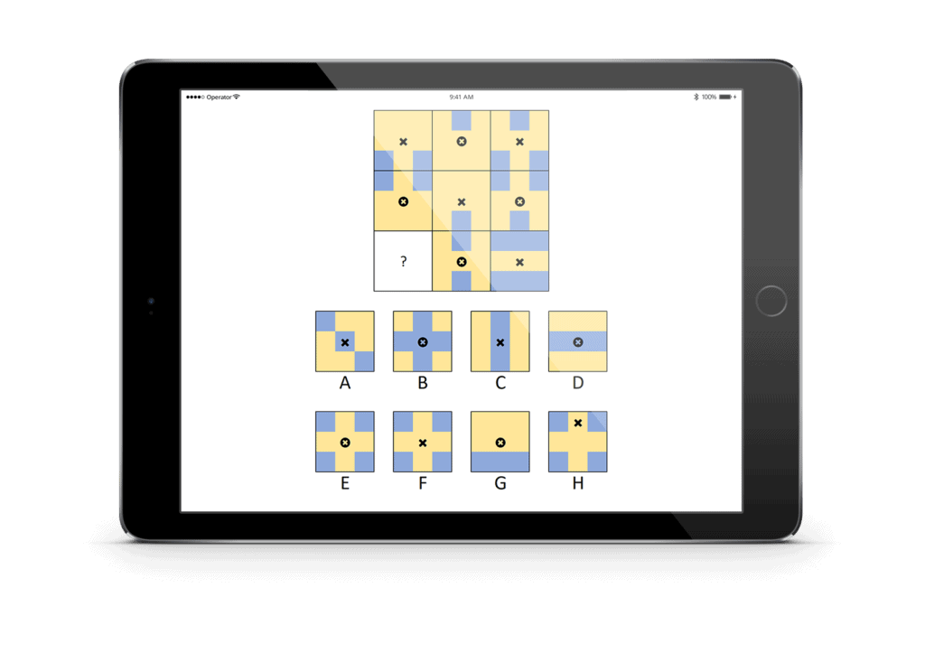 LTP matrix oefenen