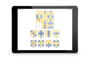 LTP matrix oefenen