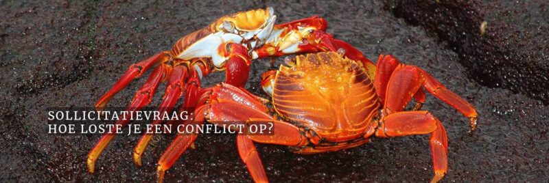 Sollicitatievraag: Hoe loste je een conflict op?