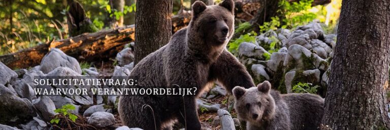 Sollicitatievraag: Wat zijn je verantwoordelijkheden in je huidige functie