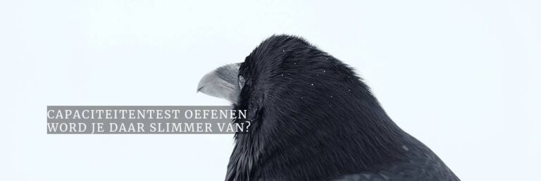 Word je slimmer door een capaciteitstest te oefenen?