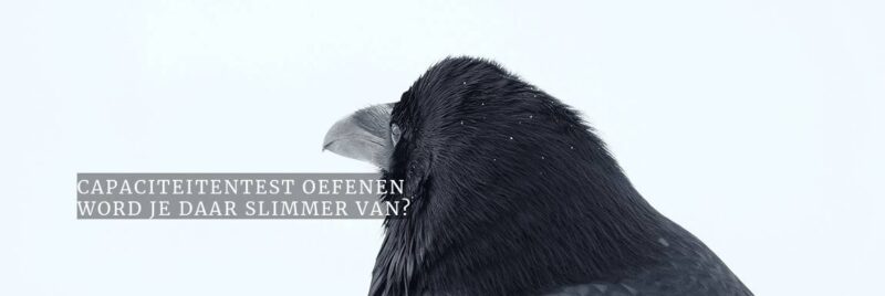Word je slimmer door een capaciteitstest te oefenen?