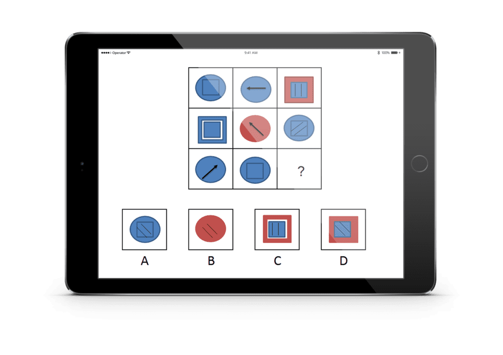 Assessment game matrix oefenen