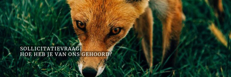 Sollicitatievraag: hoe heb je van ons gehoord