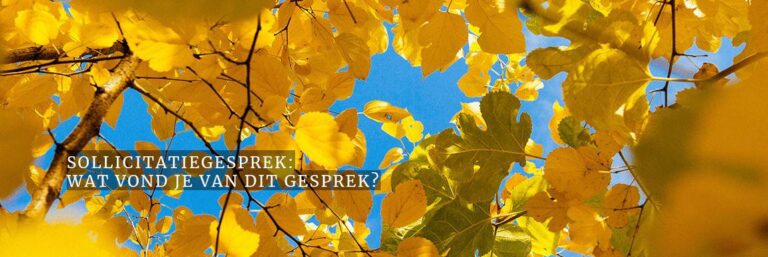 Sollicitatievraag: Wat vond je van dit gesprek?