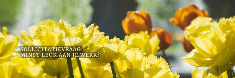 Sollicitatievraag: wat vond je het minst leuk aan je werk