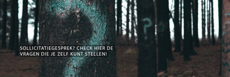 Sollicitatiegesprek? Check hier de vragen die je zelf kunt stellen!