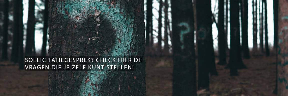 Sollicitatiegesprek? Check hier de vragen die je zelf kunt stellen!